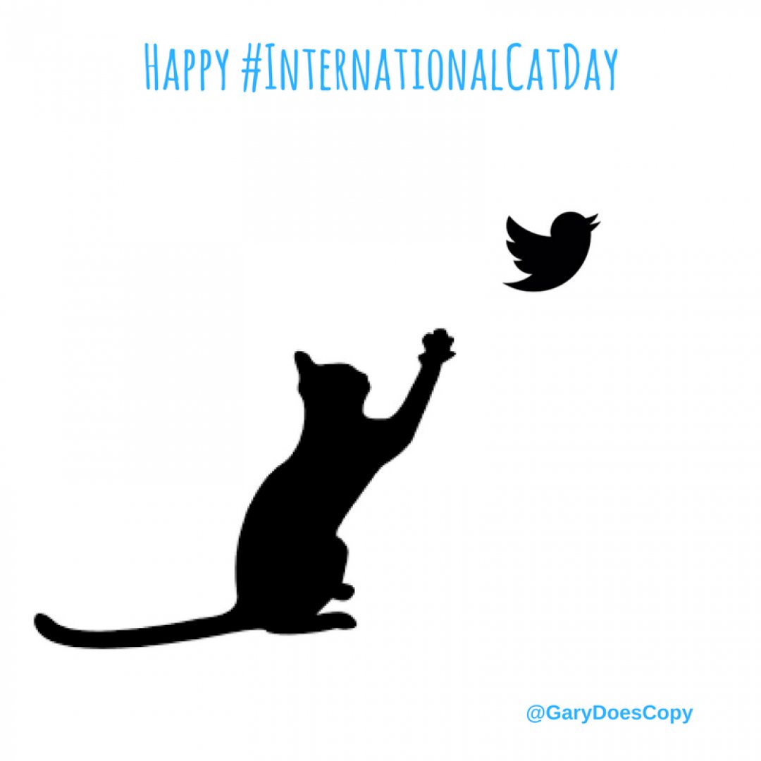 Happy International Cat Day