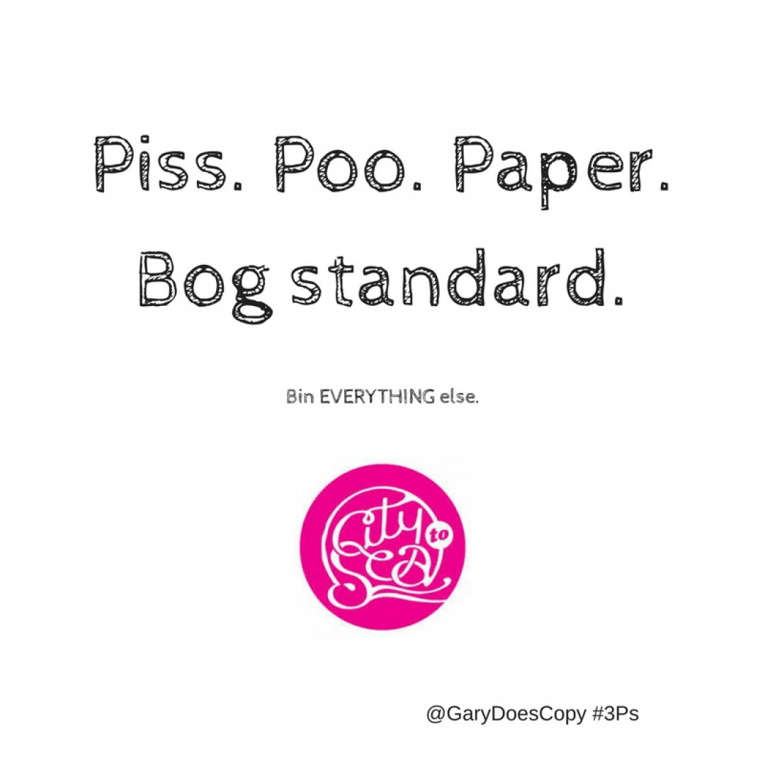 Piss  Poo  Paper Bog Standard